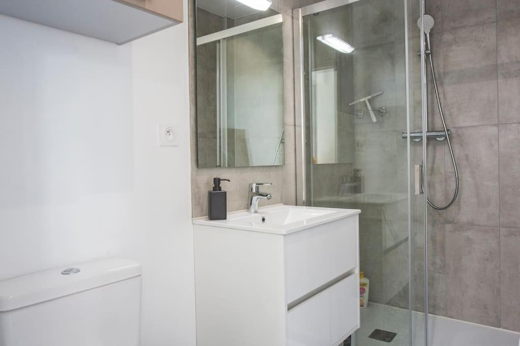 Bel Appartement Lumineux Proche Du Centre-Ville Douai Zewnętrze zdjęcie